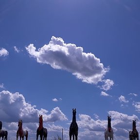 Фотография от Золотая Луна