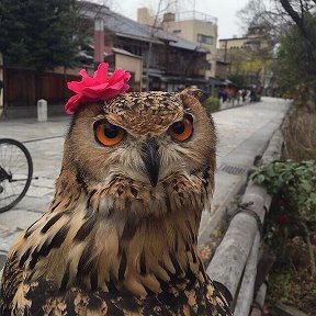 Фотография от Светлана Васильева