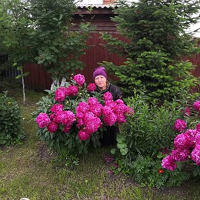 Фотография от Оксана Беркетова (Филичкина)