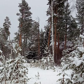 Фотография от ильфир гараев