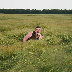 Фотография ""Здравствуй, русское поле, Я твой тонкий колосок!""