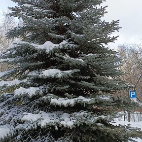 Фотография от валентина кулемина клеменкова