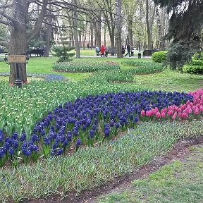 Фотография "парк гомель2016"