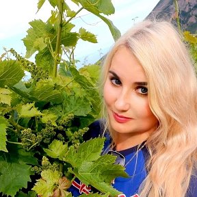 Фотография "Завязь винограда  "Мускат белый". Гурзуф. Крым."