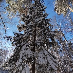 Фотография от Анна Яныгина (Горбулёва)