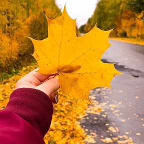 Фотография от ❤️Самая ❤️Добрая❤️