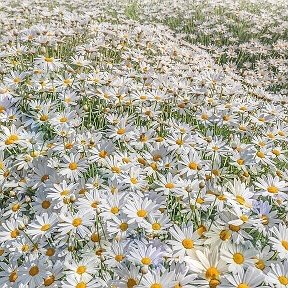 Фотография от Любовь Дубровская