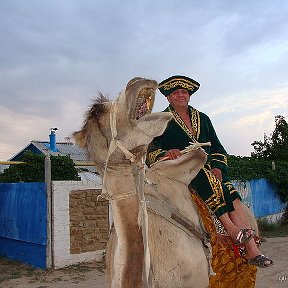 Фотография "вот так зевнул"