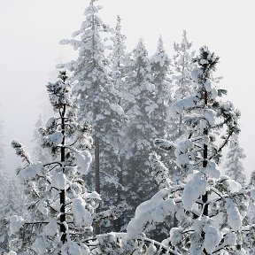 Фотография от Sardor bek