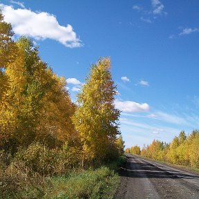 Фотография "26. 09. 15 г. Дорога в Рассвет."