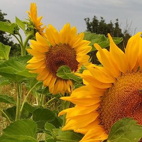 Фотография от Валентина Ачкасова