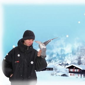 Фотография "В Новоуральске голуби ручные, любят есть с руки. Просто красивое фото, чуточку подправленное в фотошопе."