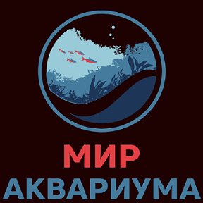 Фотография от Мир Аквариума