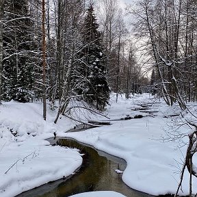 Фотография от Юрий Михалыч