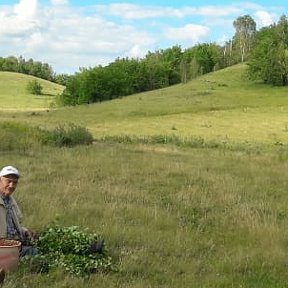 Фотография от Ильгиз и Аниса Шакуровы