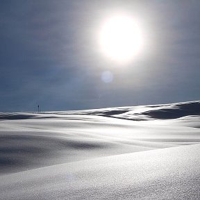 Фотография от Татьяна Калегина (Коршунова)