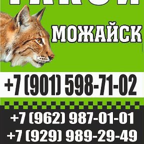 Фотография от Такси 9629870101 Можайск