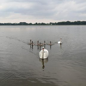 Фотография от Андрей Швед