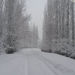 Фотография "Элок-City.  Дорога в снегу."