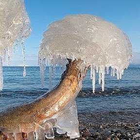 Фотография от Элбрус Азизов