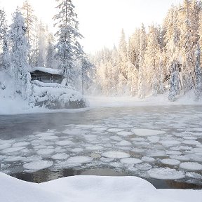 Фотография от Светлана Маликова