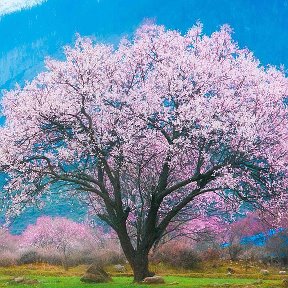 Фотография от Наталья Скобелева