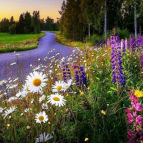 Фотография от Татьяна Смирнова(Андриевская)