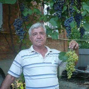 Фотография от Валерий Петренко