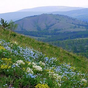 Фотография от Тансылу Каримова