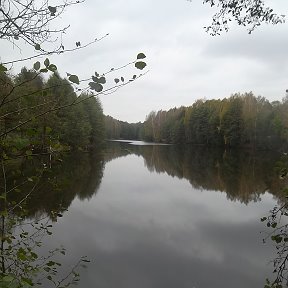 Фотография "Староселье"