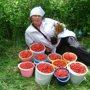 Фотография "так собирала ягоды что даже кроссовки продырявились"