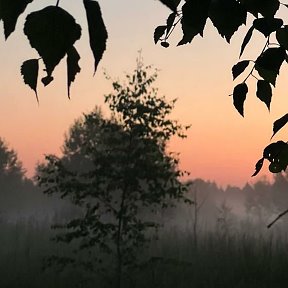 Фотография от Екатерина Агуреева