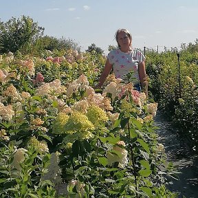 Фотография от Наталья Магазин Дачный Мир