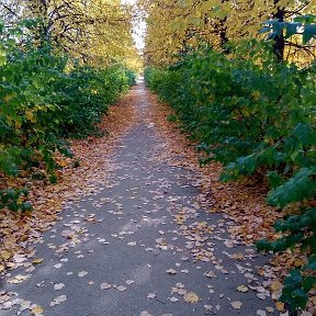 Фотография от Евгений Деликатный