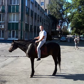 Фотография "...на работу на сеномобиле )))"