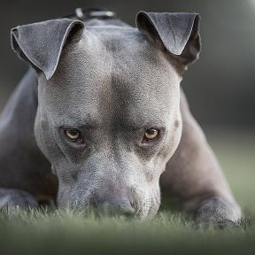 Фотография от Евгений Лаптев