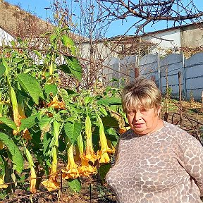 Фотография от НАТАЛЬЯ Самофалова