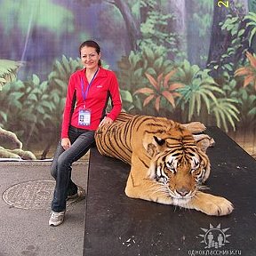 Фотография "Тигра звали Тахуа, мы звали просто Толстый."