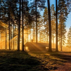 Фотография от ПАША ФЕДОРОВ