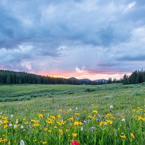 Фотография от Галина Плетнёва