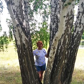 Фотография от Наталья Абнасырова (Головинская)