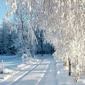 Фотография от Светлана Осипова