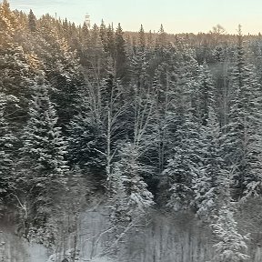 Фотография от Алексей-Нина Куренковы