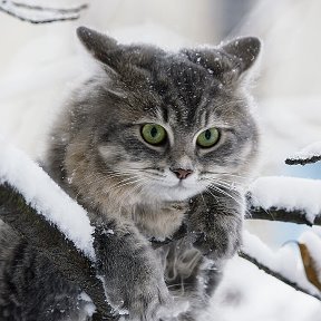 Фотография от Парень какой то