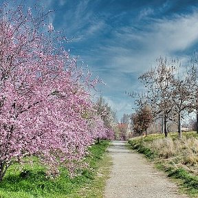 Фотография от Ржавская Наталья