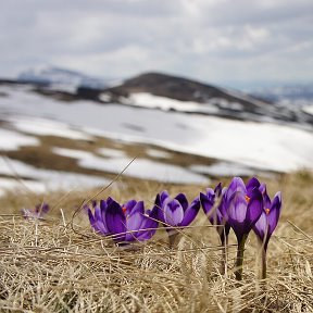 Фотография от Галина В Г