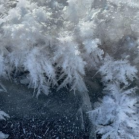 Фотография от Надежда Галецкая