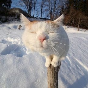 Фотография от Евгений Александрович