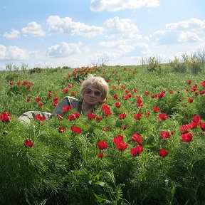 Фотография от Людмила Филяева