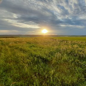 Фотография от ГКУ Асекеевское лесничество